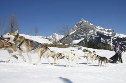 Kandersteg 2011