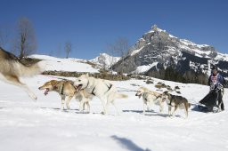 Kandersteg 2011