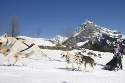 Kandersteg 2011