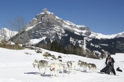 Kandersteg 2011