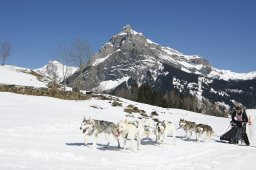 Kandersteg 2011