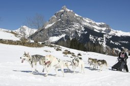 Kandersteg 2011