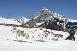 Kandersteg 2011