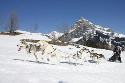 Kandersteg 2011