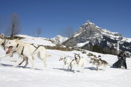 Kandersteg 2011