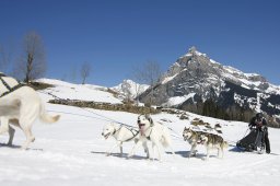 Kandersteg 2011