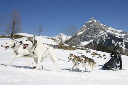 Kandersteg 2011