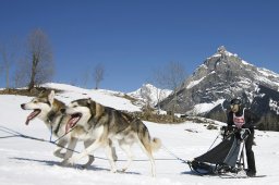 Kandersteg 2011