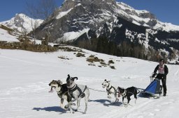 Kandersteg 2011