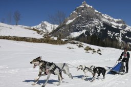 Kandersteg 2011