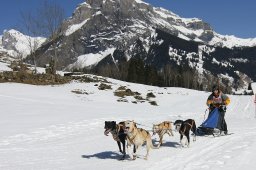 Kandersteg 2011