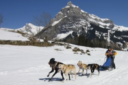 Kandersteg 2011