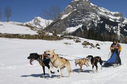 Kandersteg 2011