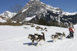 Kandersteg 2011