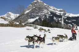 Kandersteg 2011