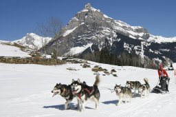 Kandersteg 2011