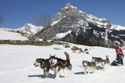 Kandersteg 2011