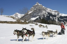 Kandersteg 2011