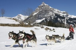 Kandersteg 2011