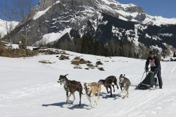 Kandersteg 2011