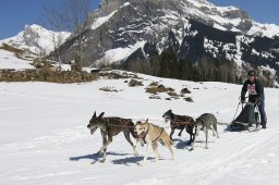 Kandersteg 2011