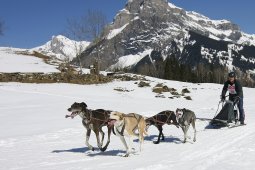 Kandersteg 2011