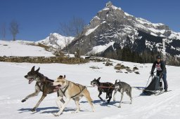 Kandersteg 2011