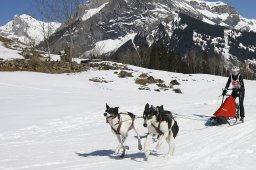 Kandersteg 2011