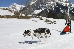 Kandersteg 2011