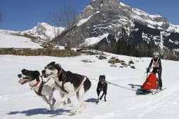 Kandersteg 2011