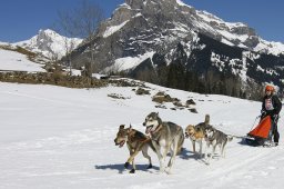 Kandersteg 2011