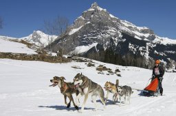 Kandersteg 2011