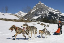 Kandersteg 2011