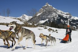 Kandersteg 2011