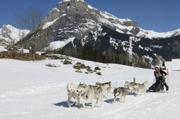 Kandersteg 2011