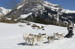 Kandersteg 2011