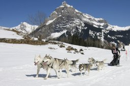 Kandersteg 2011