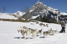 Kandersteg 2011