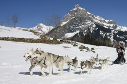 Kandersteg 2011