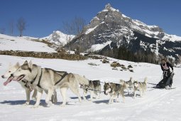 Kandersteg 2011