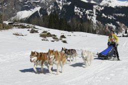 Kandersteg 2011