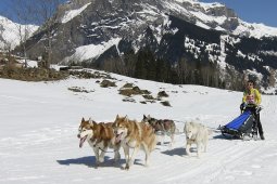 Kandersteg 2011