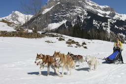 Kandersteg 2011