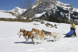 Kandersteg 2011