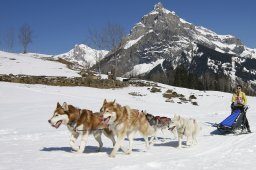 Kandersteg 2011