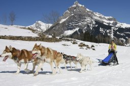 Kandersteg 2011