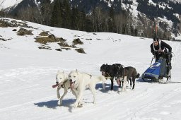 Kandersteg 2011