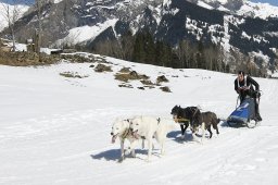 Kandersteg 2011