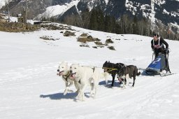 Kandersteg 2011