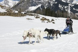 Kandersteg 2011